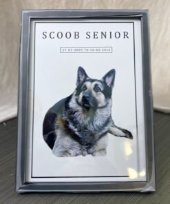 Personalized Pet Portrait Wall Frames: Personalized Art for Your Beloved Pets
