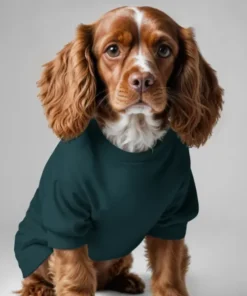 Pet Clothing