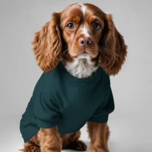 Pet Clothing