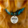 Custom engraved stainless steel pet name tag in a circular shape, designed for dogs and cats. Features personalized engraving for pet identification, ensuring durability and style.