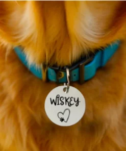 Custom engraved stainless steel pet name tag in a circular shape, designed for dogs and cats. Features personalized engraving for pet identification, ensuring durability and style.